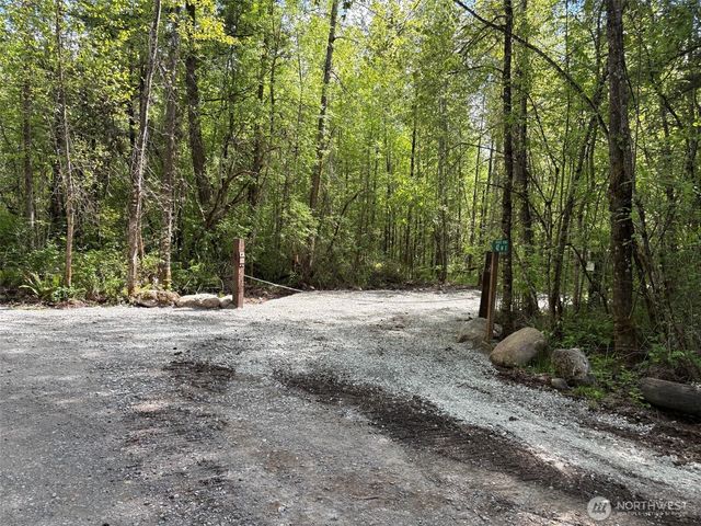 0 42nd Avenue S, Roy, WA 98580