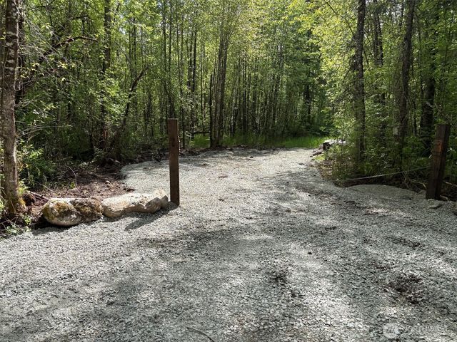 0 42nd Avenue S, Roy, WA 98580