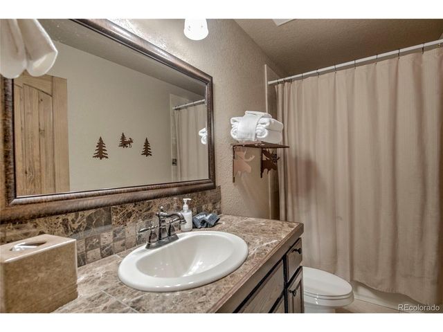 790 Mountain View Dr, Fairplay, CO 80440
