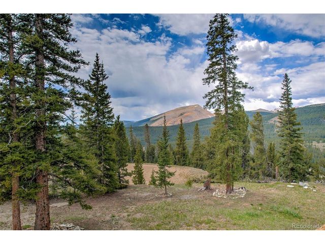 790 Mountain View Dr, Fairplay, CO 80440