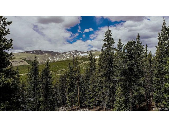 790 Mountain View Dr, Fairplay, CO 80440