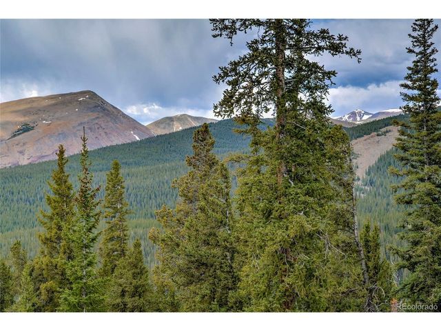 790 Mountain View Dr, Fairplay, CO 80440