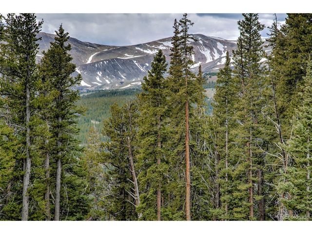 790 Mountain View Dr, Fairplay, CO 80440