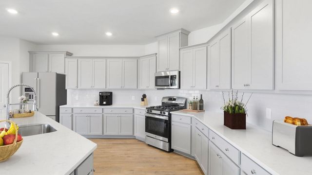1020 Lettered Olive Lane, Summerville, SC 29485