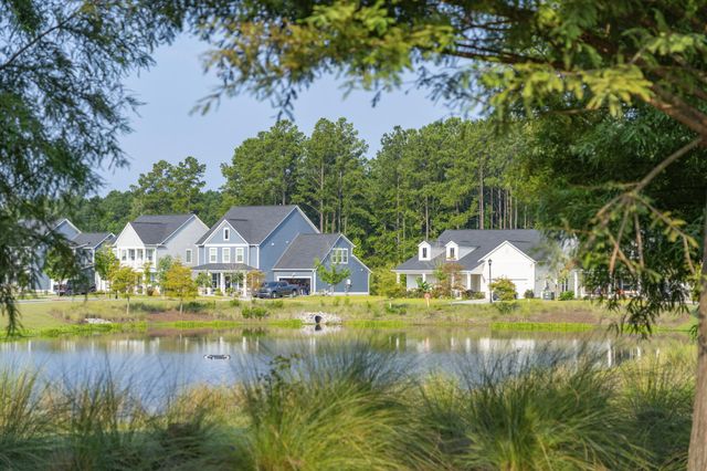 1020 Lettered Olive Lane, Summerville, SC 29485