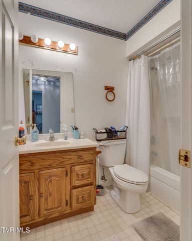 153 Valley Crest Drive, Mount Carmel, TN 37645