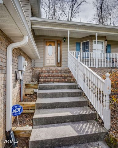 153 Valley Crest Drive, Mount Carmel, TN 37645