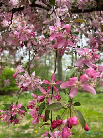 920 Bexley Drive, Perrysburg, OH 43551