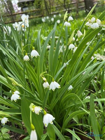 920 Bexley Drive, Perrysburg, OH 43551