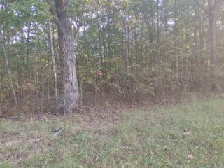 00 Gray Rock View 111, Pikeville, TN 37367