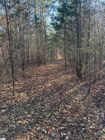 9070 Greenpond Road, Gray Court, SC 29645