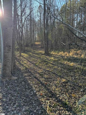 9070 Greenpond Road, Gray Court, SC 29645