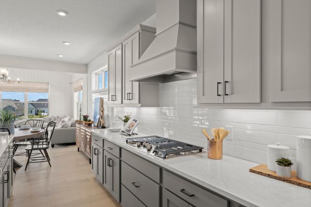 14663 107th Place N, Maple Grove, MN 55369