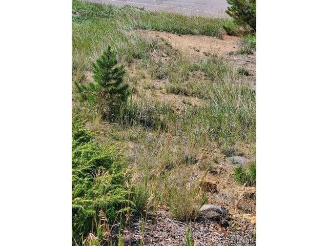 0 Quartz Valley, Central City, CO 80427