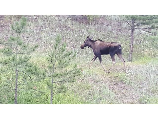 0 Quartz Valley, Central City, CO 80427
