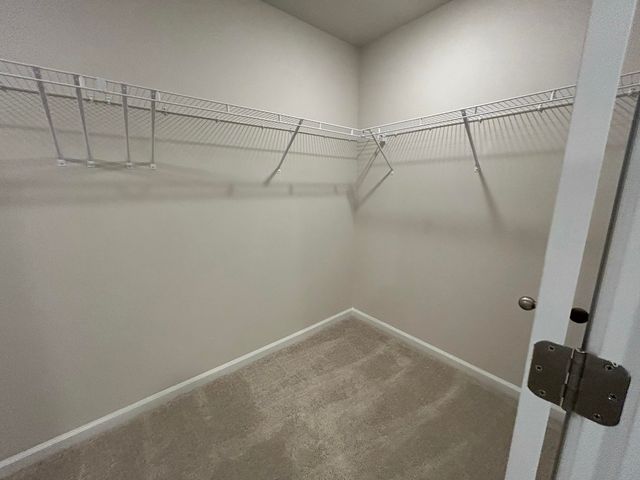 4019 Lemon Grass Lane Lane, Ravenel, SC 29470