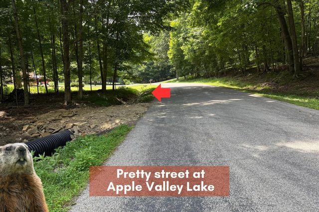 558 Crabapple Drive, Howard, OH 43028