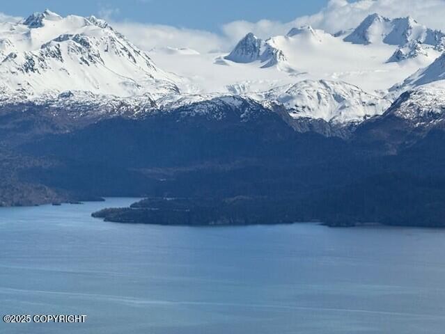 51153 Trail Mountain Road, Homer, AK 99603