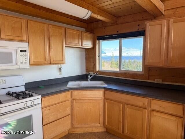 51153 Trail Mountain Road, Homer, AK 99603