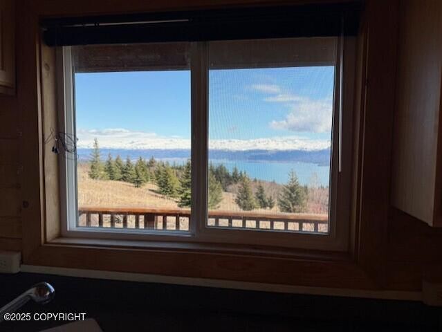 51153 Trail Mountain Road, Homer, AK 99603