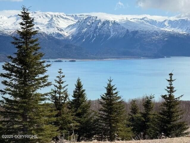 51153 Trail Mountain Road, Homer, AK 99603