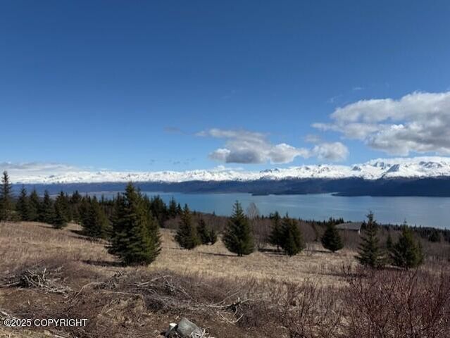 51153 Trail Mountain Road, Homer, AK 99603