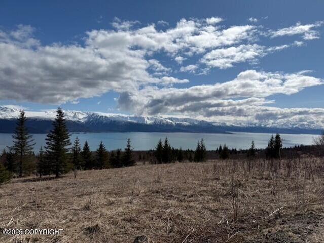 51153 Trail Mountain Road, Homer, AK 99603