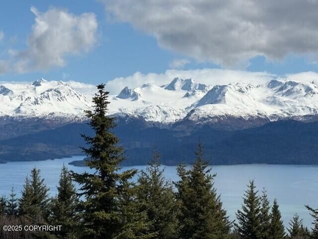 51153 Trail Mountain Road, Homer, AK 99603