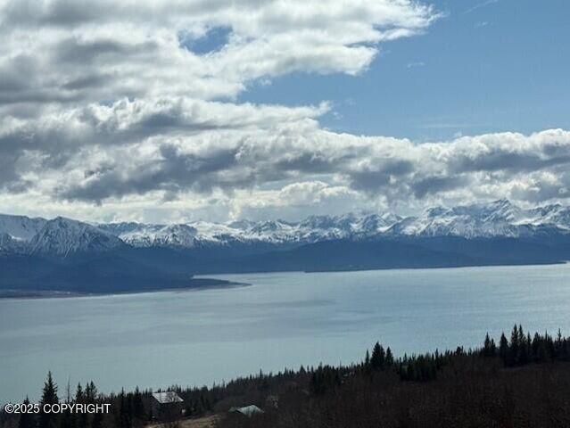 51153 Trail Mountain Road, Homer, AK 99603