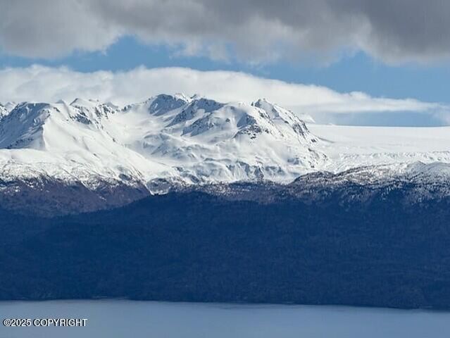 51153 Trail Mountain Road, Homer, AK 99603