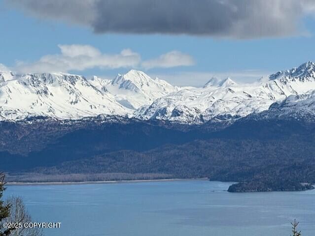51153 Trail Mountain Road, Homer, AK 99603
