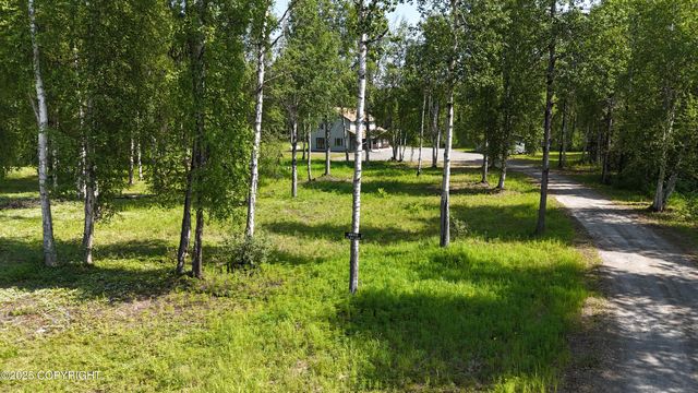 49315 S Goshen Hills Road, Willow, AK 99688