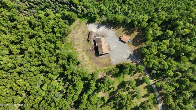 49315 S Goshen Hills Road, Willow, AK 99688