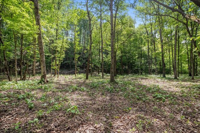 0 Rustling Oaks Dr, Waverly, TN 37185