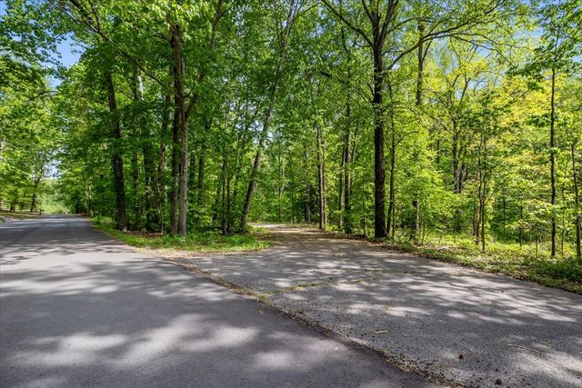 0 Rustling Oaks Dr, Waverly, TN 37185