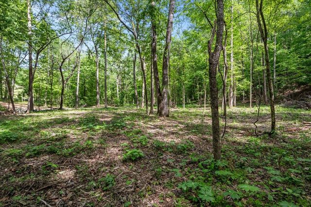 0 Rustling Oaks Dr, Waverly, TN 37185