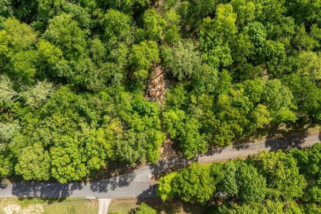 0 Rustling Oaks Dr, Waverly, TN 37185