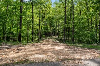 0 Rustling Oaks Dr, Waverly, TN 37185