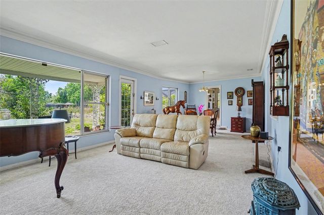 1350 ECKLES DRIVE, Tampa, FL 33612