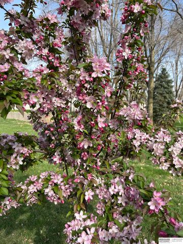 14700 42nd Street, Plattsmouth, NE 68048