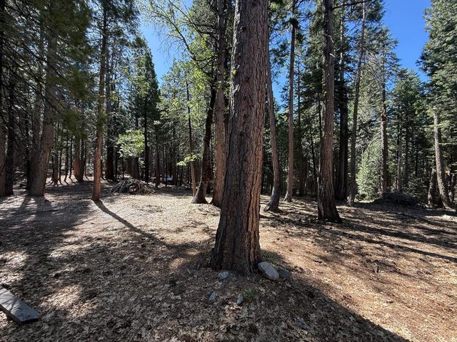 13560 Serpentine Way, Nevada City, CA 95959