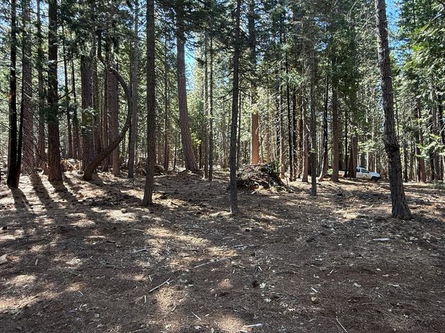 13560 Serpentine Way, Nevada City, CA 95959