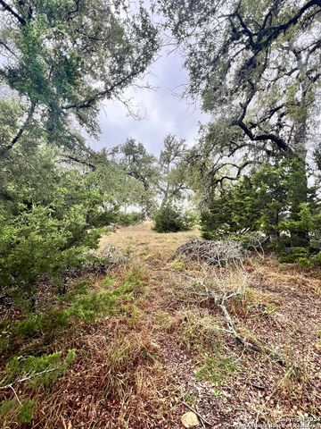 209 Starling Pass, Spring Branch, TX 78070