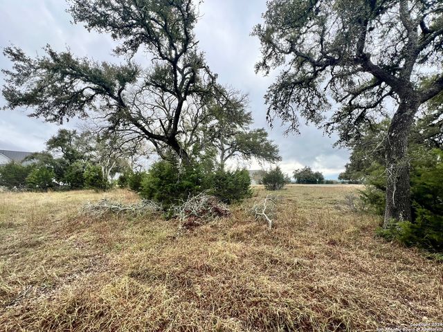 209 Starling Pass, Spring Branch, TX 78070