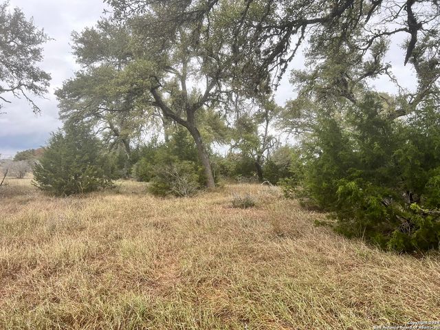 209 Starling Pass, Spring Branch, TX 78070
