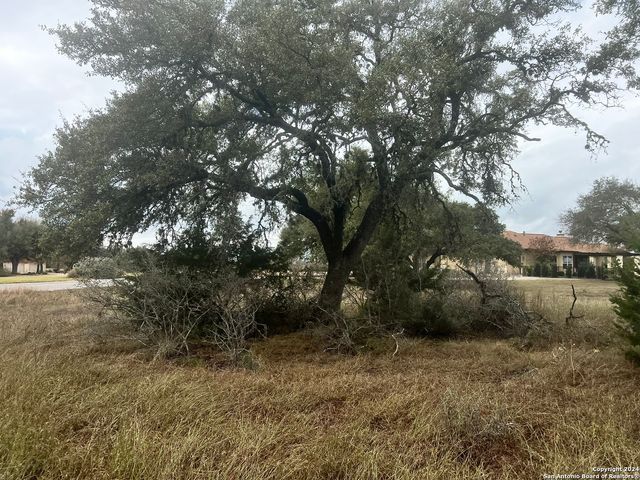 209 Starling Pass, Spring Branch, TX 78070