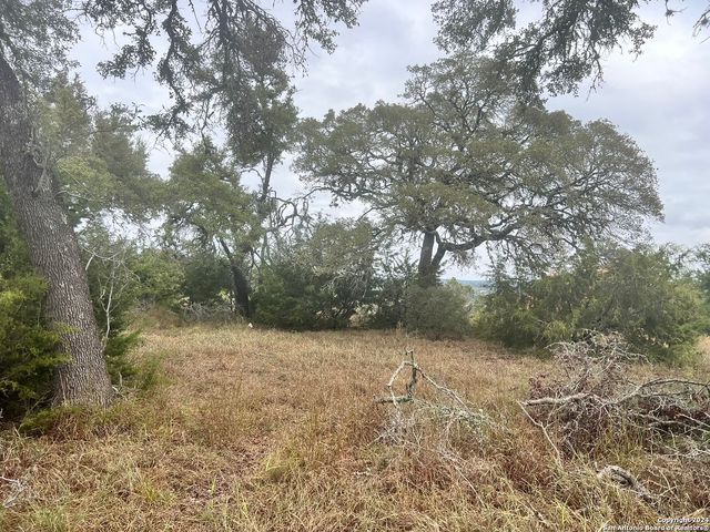 209 Starling Pass, Spring Branch, TX 78070