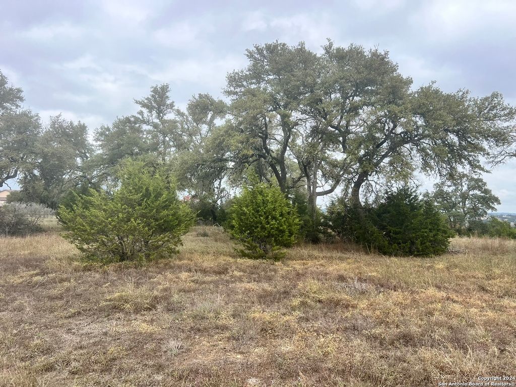 209 Starling Pass, Spring Branch, TX 78070