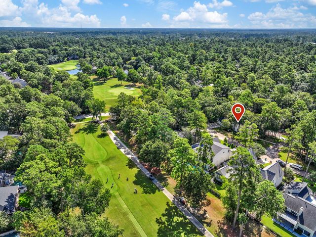 2 Muskmallow Court, The Woodlands, TX 77380