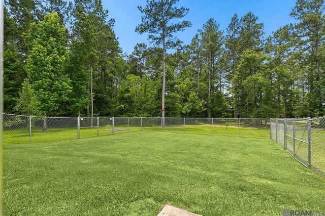 24205 S Frost Rd, Livingston, LA 70754
